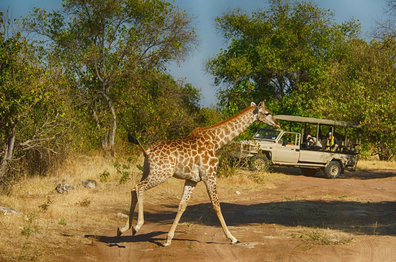Tlouwana Camp Villa Kasane Exteriör bild